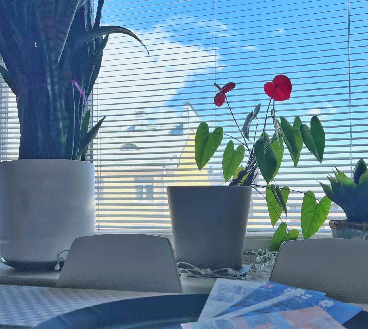 Scandinavian Desing Home 37 City Center In Kamppi Хелзинки Екстериор снимка